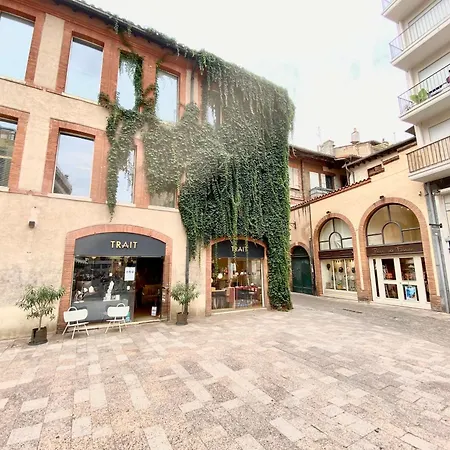 Le Perk - Centre Historique Toulousain Apartment *
